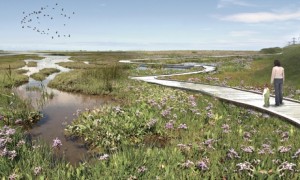 Artist's impression of the wildlife habitat that will be created by the £20 million project.